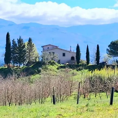 Felciolina - Medieval * Troghi