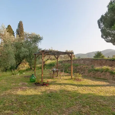 Felciolina - Medieval *