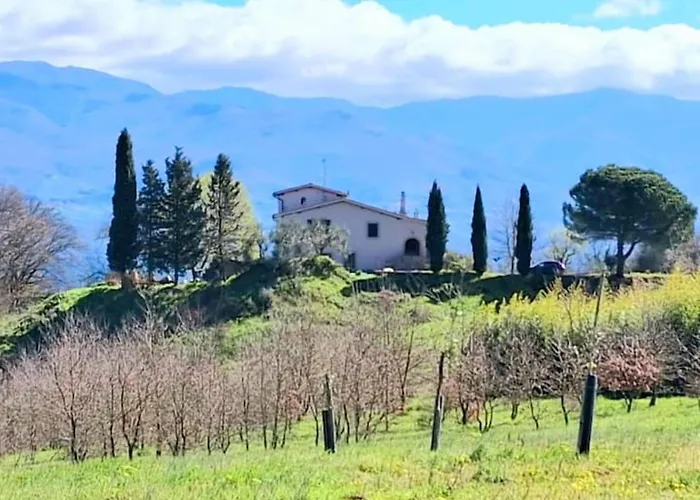 Felciolina - Medieval * Troghi