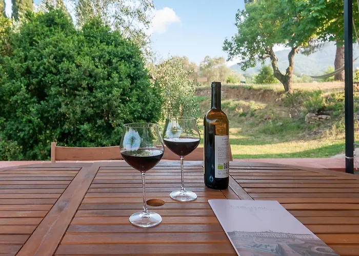 Felciolina - Medieval 別荘 *