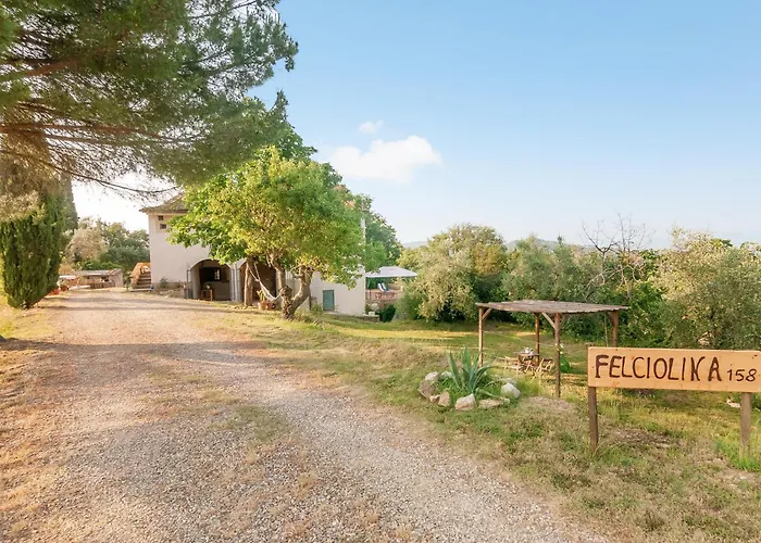 Felciolina - Medieval 別荘